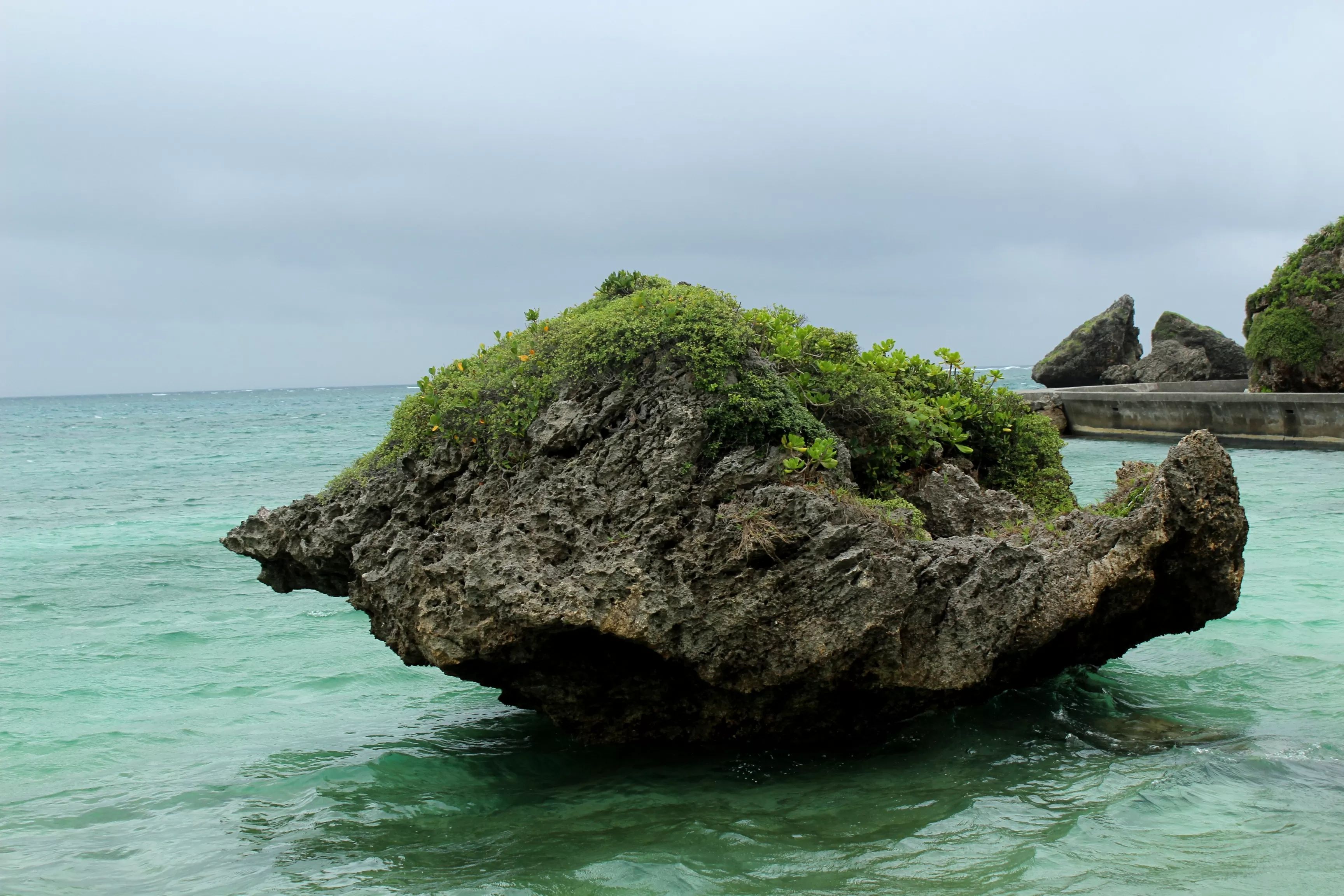 🏝️ 오가미 섬(오오가미지마) 이미지 8